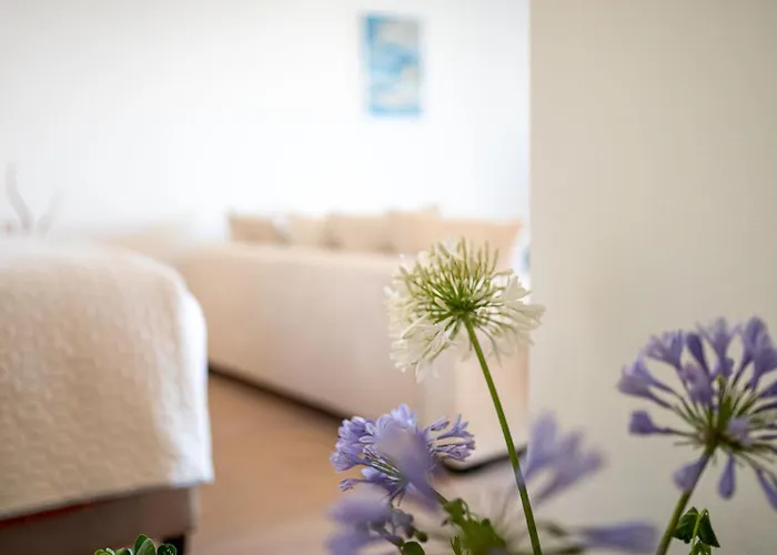 Doro * ヴェラ・ルカ